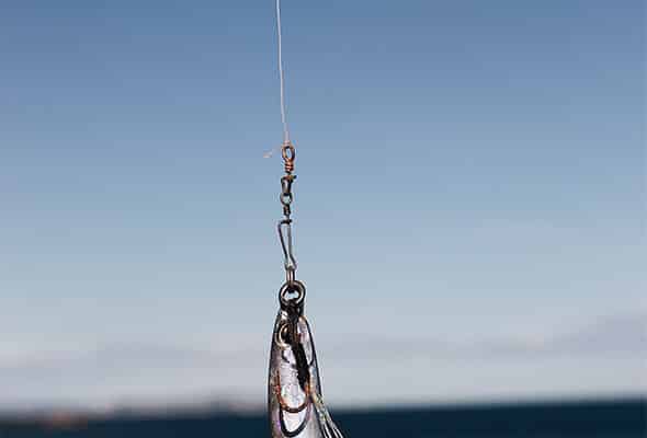 A hook with a fish bait attached.